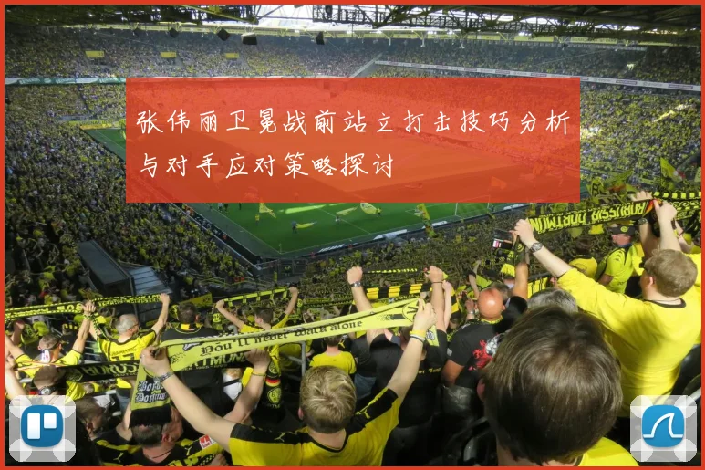 张伟丽卫冕战前站立打击技巧分析与对手应对策略探讨