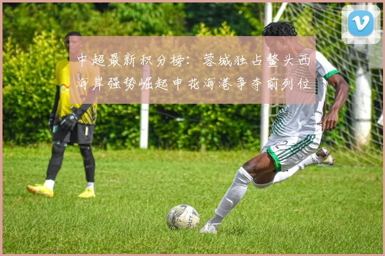 中超最新积分榜:蓉城独占鳌头西海岸强势崛起申花海港争夺前列位置
