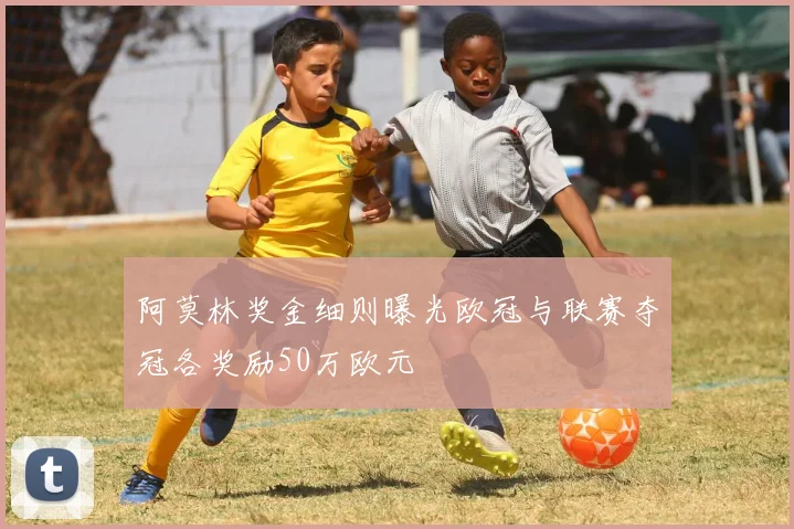 阿莫林奖金细则曝光欧冠与联赛夺冠各奖励50万欧元